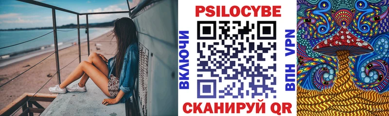 Купить Фурманов Псилоцибиновые грибы Psilocybine cubensis